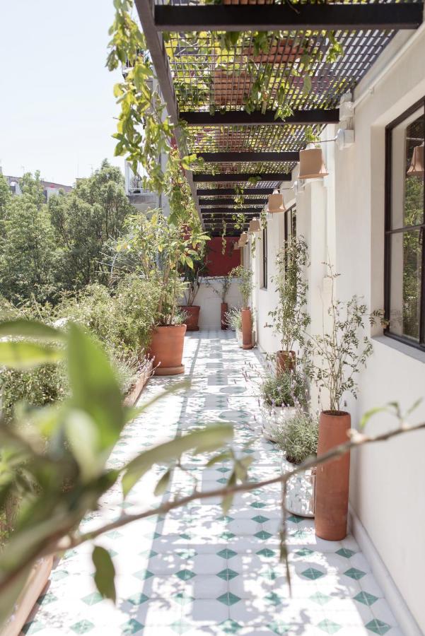 Izta Hostels Μεξικό Εξωτερικό φωτογραφία